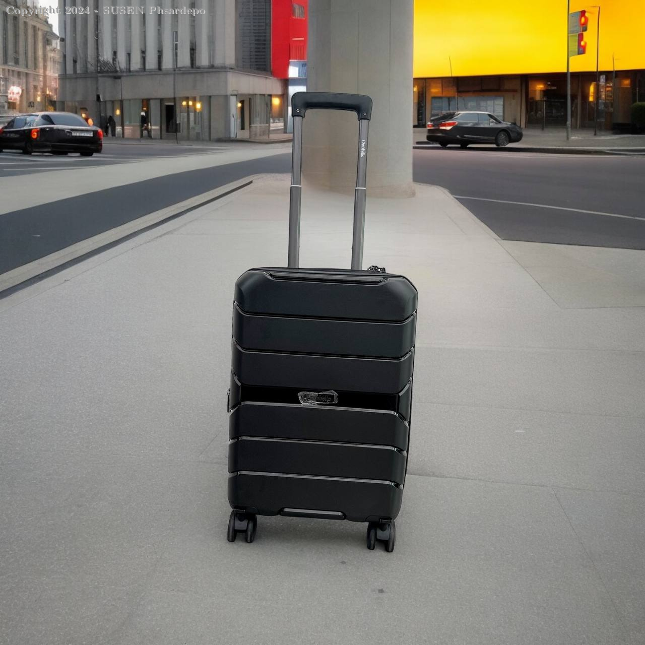 3005 suitcase (L)